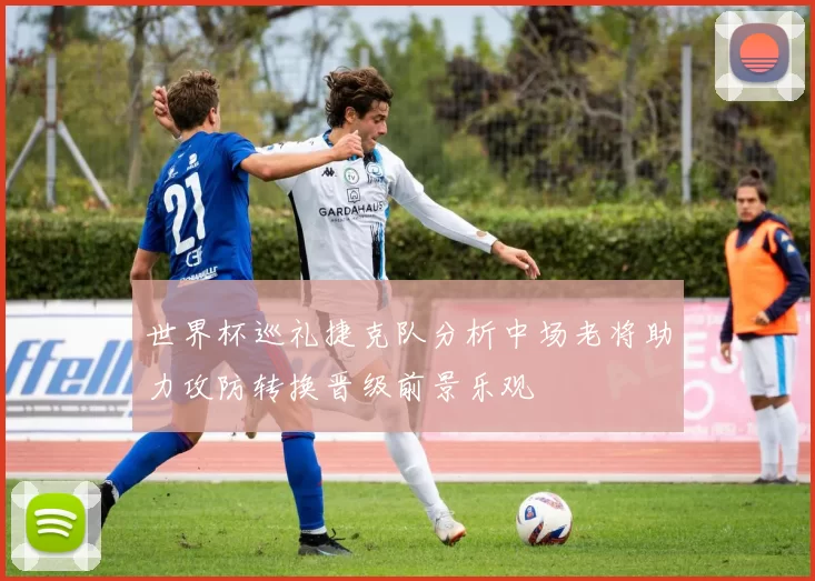 世界杯巡礼捷克队分析中场老将助力攻防转换晋级前景乐观